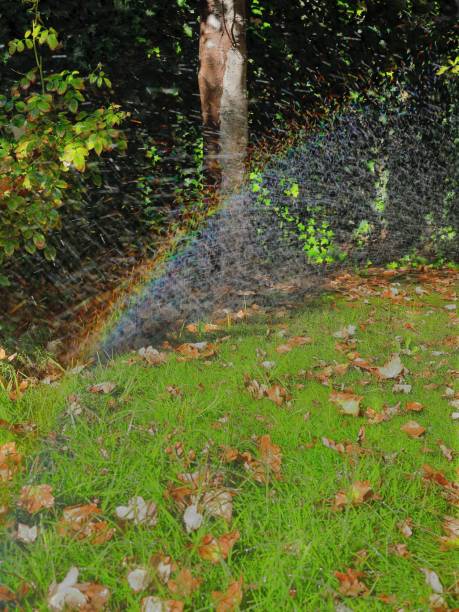 istock rainbaow in autumn garden 1225231646