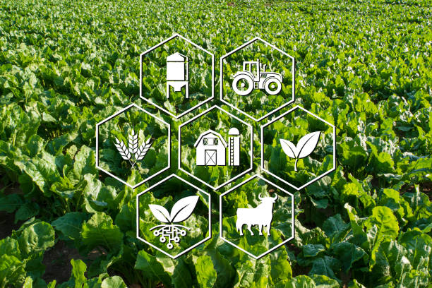 istock Icons representing agriculture 1225233371