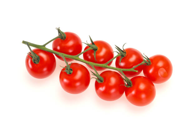 istock Ripe tomatoes on the branch 1225234303