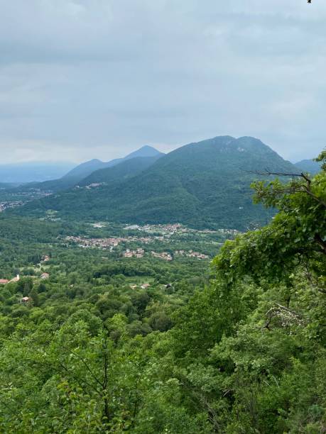 istock North Italian woods in may 1225234328