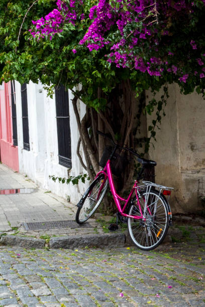 istock Vintage pink bicycle under a tree in a small town in Uruguay. 1225234732