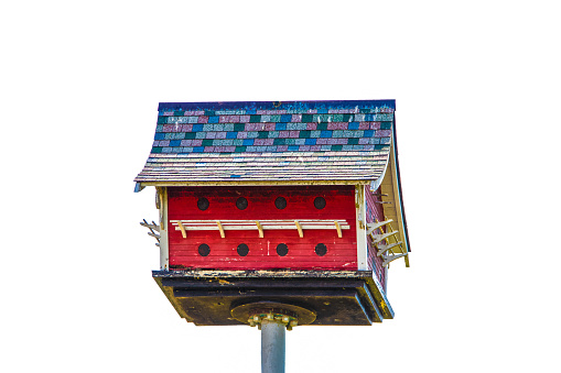 Rustic two story purple martin bird house designed to look like a barn - red with shingles on a pole -isolated on white