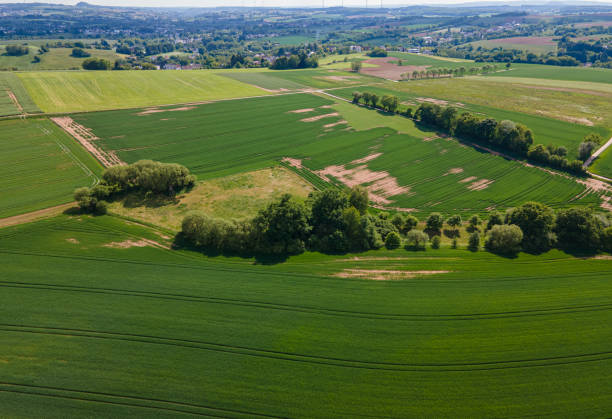 istock Agricultural fields from above - wonderful nature 1225239385