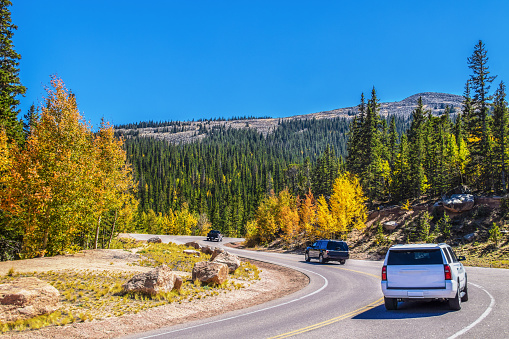 SUVs and pickup truck take sharp turns down mountainside with evergreens and Autumn aspens and bare peaks in background on sunny day