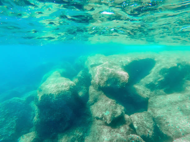 istock Underwater view of Alghero rocky shore in summer 1225240966