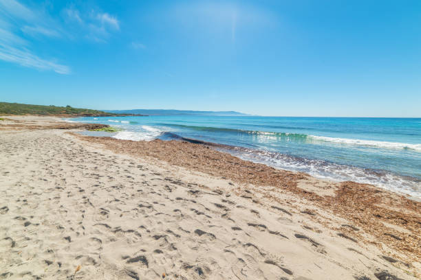 istock Sun shining over Le Bombarde beach in Sardinia 1225242810