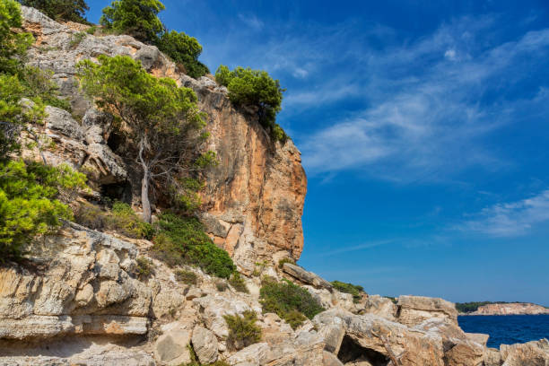 istock Trees on the slope of mountain 1225243584