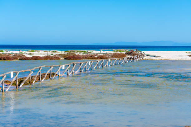 istock Le Saline beach on a sunny day 1225245435
