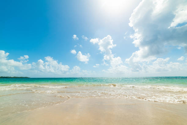 istock Cloudy sky over Pointe de la Saline beach in Guadeloupe 1225250377