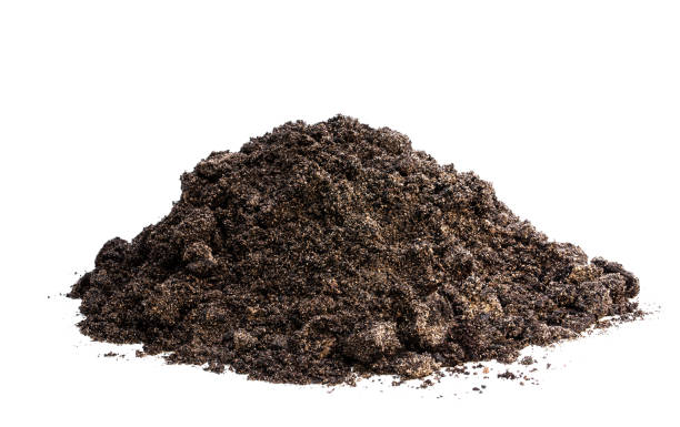 istock Heap of soil isolated on white 1225251492