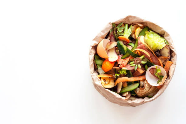 istock Organic food waste in paper bag 1225253941