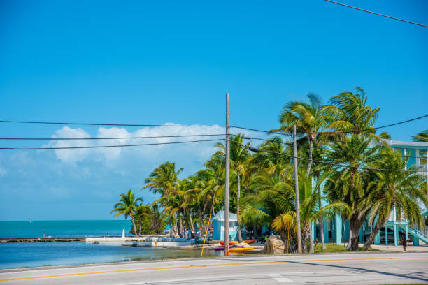 istock Palm trees by the sea in Florida Keys 1225254204