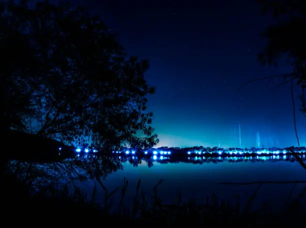 Sukhna Lake at night surrounded by Blue lights and a tree; long exposure photograph of Sukhna Lake, Chandigarh, India
