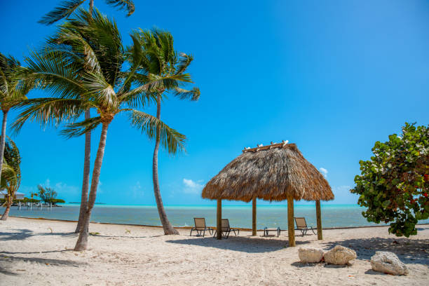 istock Gazebo by the sea in Florida Keys 1225254469