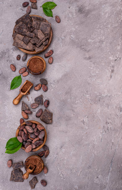 istock Natural cocoa powder, cocoa beans and chocolate 1225254485