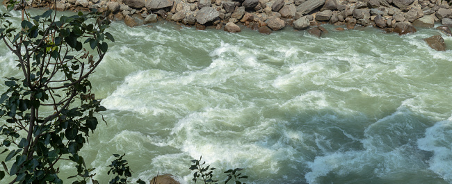 White Waves of a green river, Shining Bright due to Sunlight, Little Rocks on the Banks, 5K