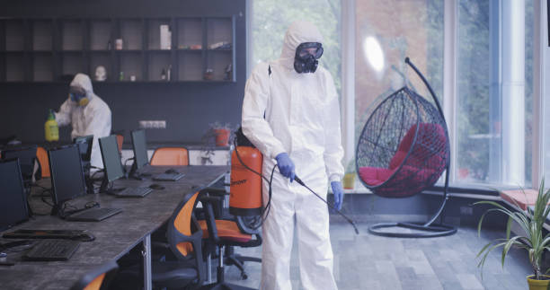 istock Men in hazmat suits disinfecting office 1225255292