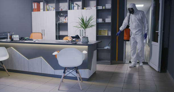 istock Men in hazmat suits disinfecting building 1225255343