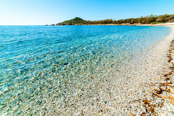 istock Clear water and pebbles in Porto Pirastu beach 1225255701