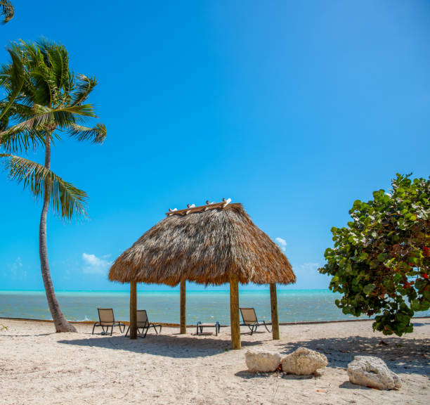 istock Gazebo by the sea in Florida 1225255930