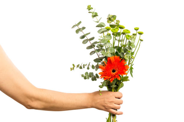 istock Hand Offering Flower Bouquet 1225256788