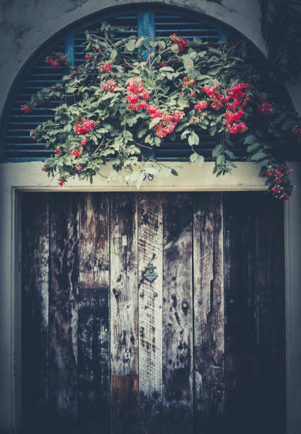 istock Old decay wooden door and flowers front view 1225258905