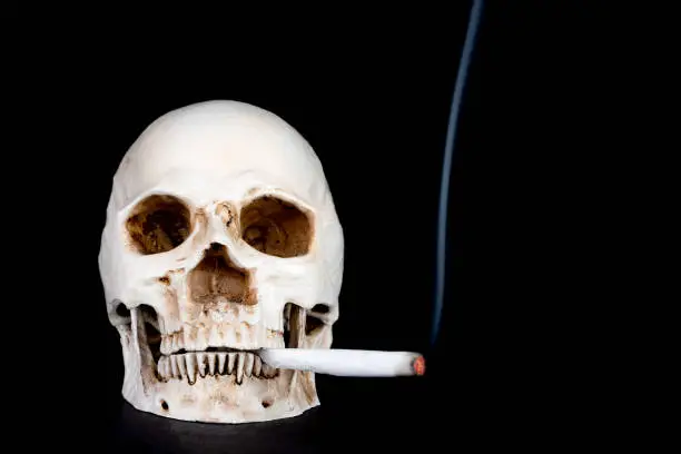 Photo of Skull Smoking A Joint