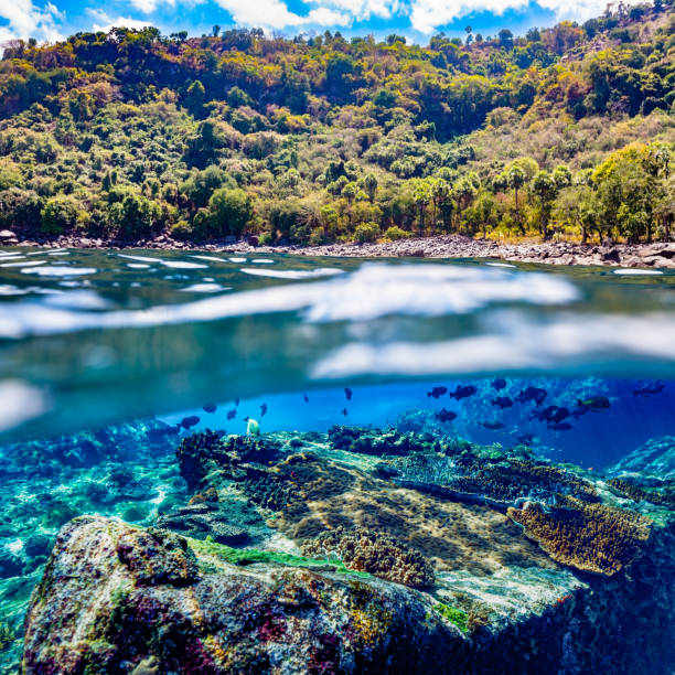 paisagem e paisagem, foto dividida da remota ilha alor, estreito de pantar, indonésia - biodiversidade - fotografias e filmes do acervo