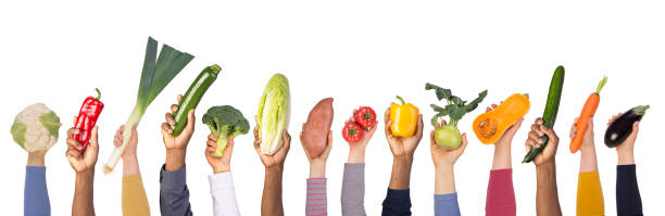 istock Fresh vegetables in hands isolated on white background 1225261985