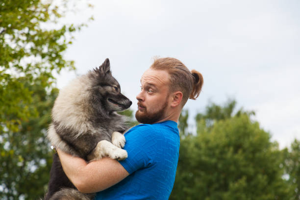 Young man  holds a keeshond in his arms