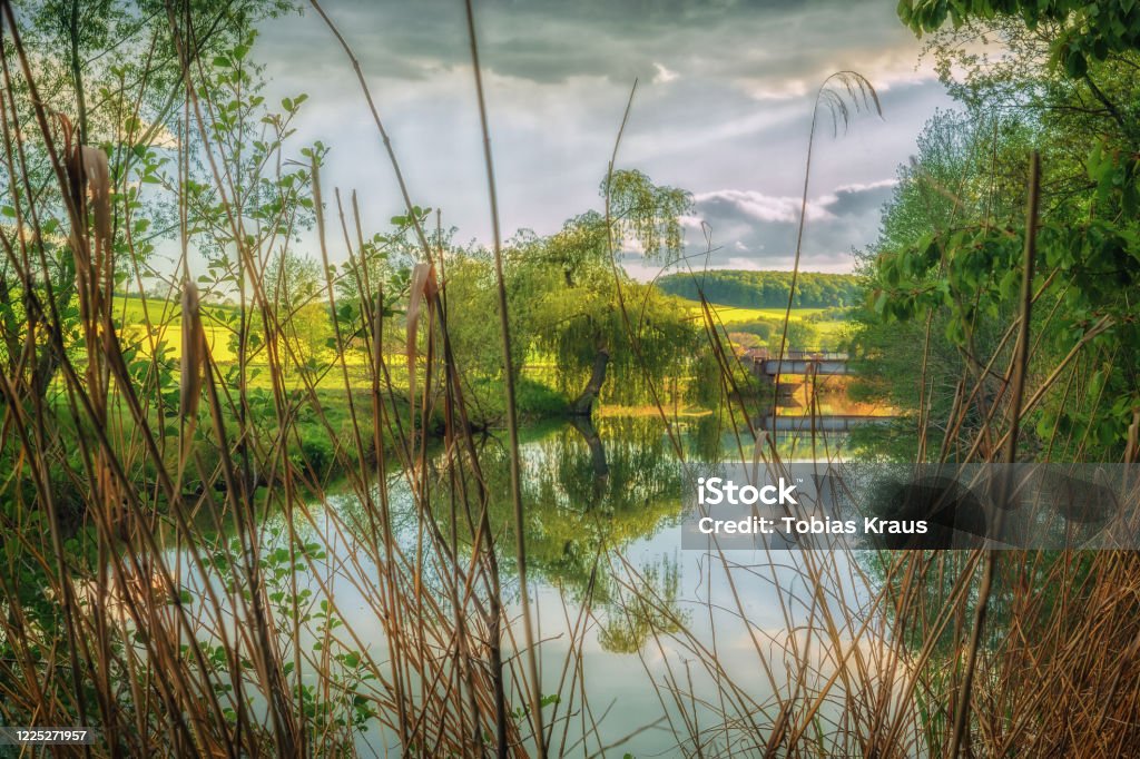 A nicer sunset on a small bridge with aquatic plants surrounding fields in the background Nature Stock Photo