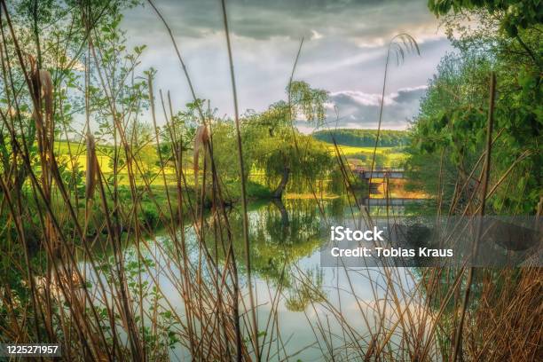 A Nicer Sunset On A Small Bridge With Aquatic Plants Surrounding Fields In The Background Stock Photo - Download Image Now