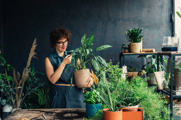 Portrait of a Plant Shop Owner Looking at a Plant Lovingly Young woman entrepreneur running her small business - a plant shop. green fingers stock pictures, royalty-free photos & images