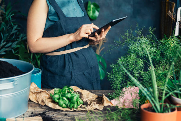 istock DIY Gardening: an Unrecognizable Woman Using a Tablet Looking for Instructions on How to Plant Basil 1225272971