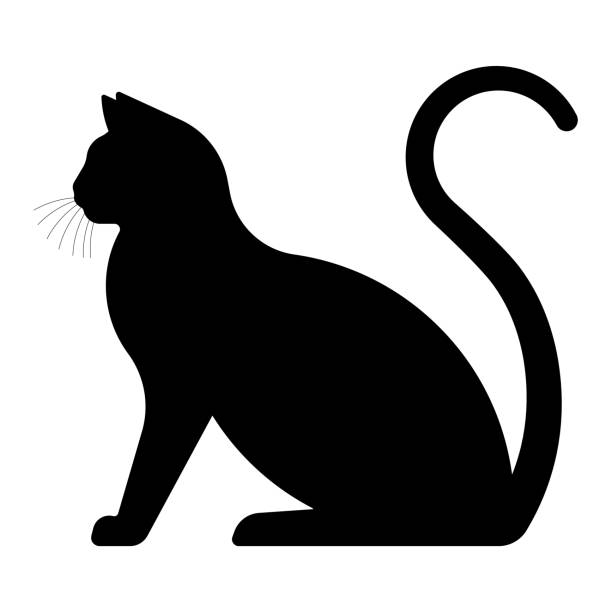 검은 고양이. 고양이 그림의 실루엣. 벡터 템플릿 - silhouette animal black domestic cat stock illustrations