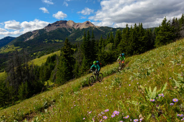 istock Couple mountain biking together on vacation 1225274358