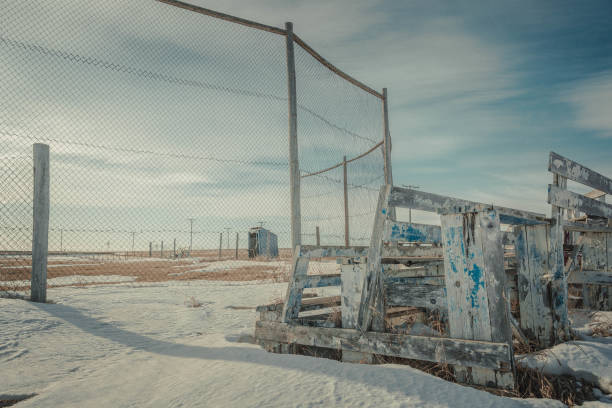 small town baseball diamond im frühling - baseball dirt softball baseball diamond stock-fotos und bilder