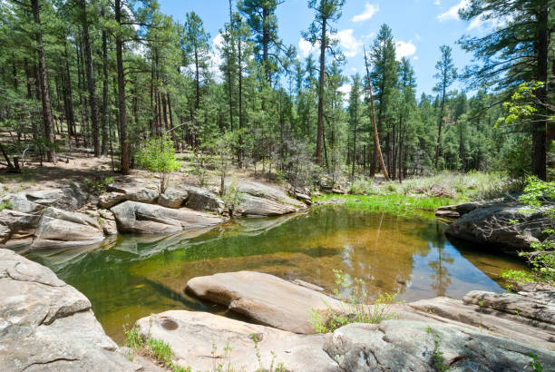 Fry Canyon is a narrow canyon on the Mogollon Rim of Northern Arizona.  It features Pumphouse Wash, a slow moving creek that is one of the uppermost reaches of Oak Creek which eventually feeds into the Verde River.  The canyon is lined with sculpted rock formation where the water gathers in pools.  Fry Canyon is in the Coconino National Forest near Flagstaff, Arizona, USA.