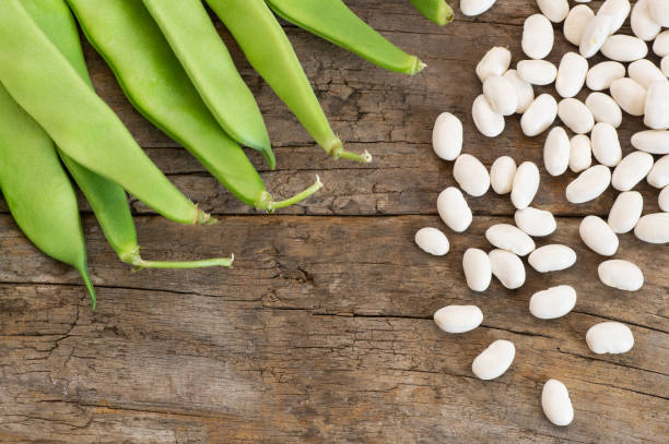 istock Uncooked dried white haricot beans with fresh raw green beans pod plant on rustic table 1225283606