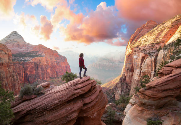 Adventurous Woman at the edge of a cliff is looking at a beautiful landscape view in the Canyon Adventurous Woman at the edge of a cliff is looking at a beautiful landscape view in the Canyon during a vibrant sunset. Taken in Zion National Park, Utah, United States. Sky Composite. sandstone photos stock pictures, royalty-free photos & images