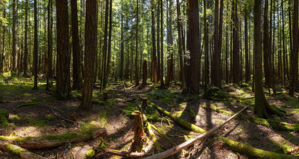 istock Squamish, near Vancouver, British Columbia, Canada 1225285342