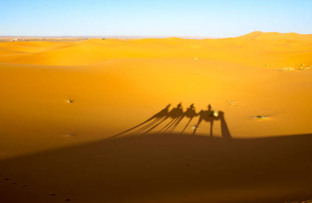 istock The shadow of the Camel Caravan. 1225287867