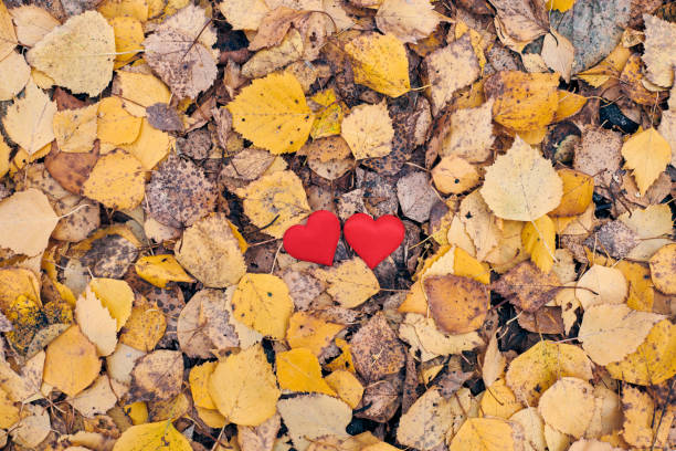 istock Love or friendship concept 1225287941