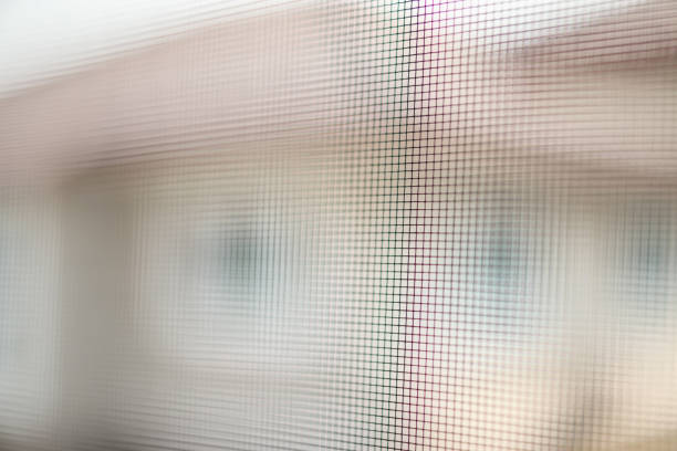 istock mosquito net wire screen on house window protection against insect 1225290080
