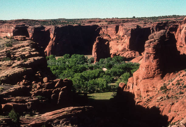 Canyon de Chelly National Monument - Trees Surrounded by Rock - 1998