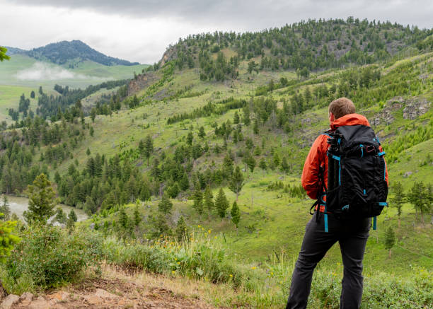 istock Man with Pack Looks Out Over Yellowstone 1225295173