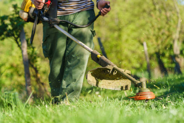 istock Close up unknown Young caucasian man farmer gardener standing in the field with string trimmer petrol Brushcutter ready to cut weed grass working on the farm cutting in the field in sunny day 1225295188