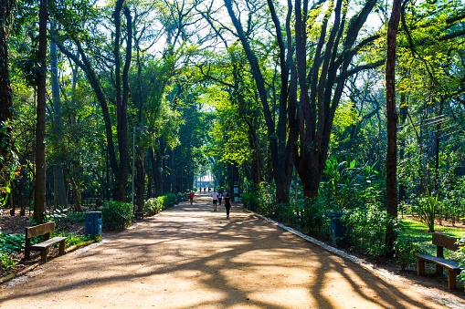 Famous Parque do Piqueri no Tatuapé created in 1901 in São Paulo Capital Brazil