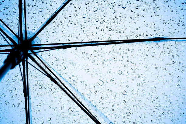 istock Transparent umbrella on a rainy day 1225314305