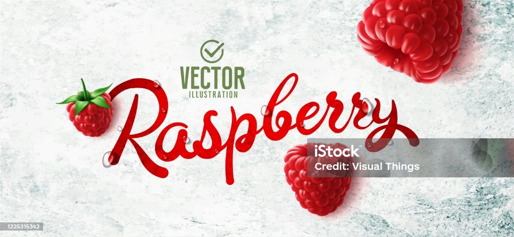 Raspberry Vector Realistic Vector Realistic Raspberry Illustration On White Stone Background Stock ...